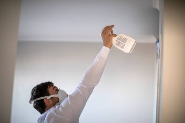 Best Affordable Mold Removal  in Zion, IL