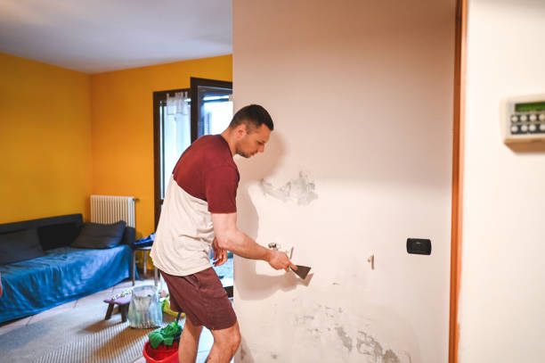 Trusted Zion, IL Mold Removal Experts